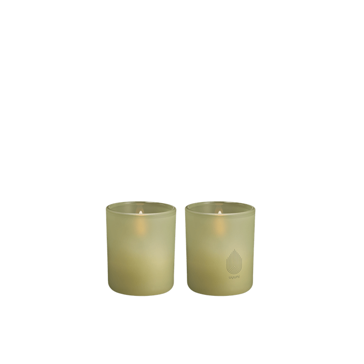 Uyuni-Glass Candle-UL-GC-LGL6007-Light Green Leaf
