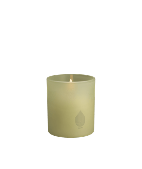 Uyuni-Glass Candle-UL-GC-LGL92010-Light Green Leaf