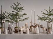 Uyuni-Celebration Collection