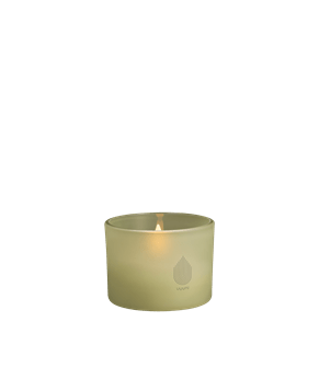 Uyuni-Glass Candle-UL-GC-LGL92010-Light Green Leaf