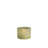 Light Green Leaf