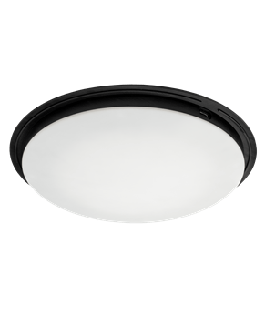 Solar Down Light Big