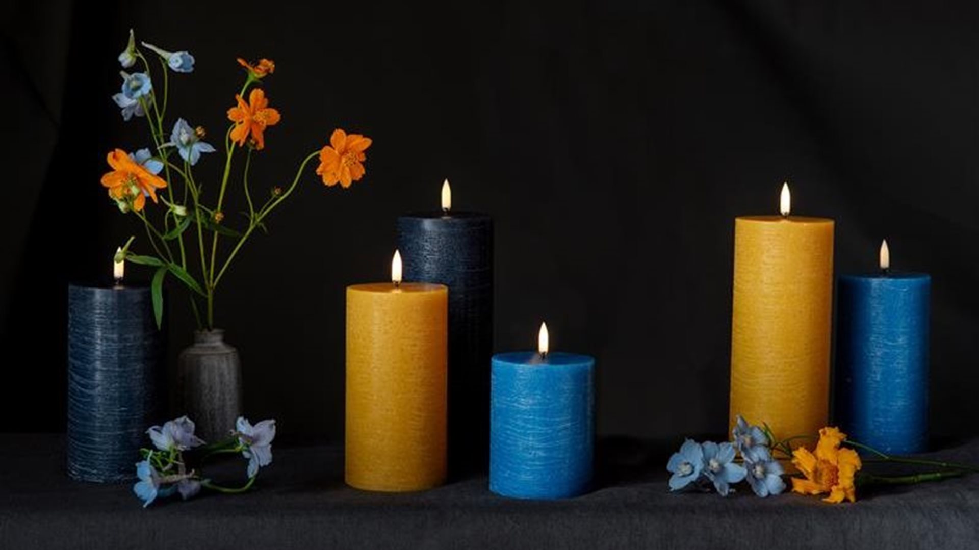 DD/BW webstory Banner