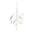 Vanilla